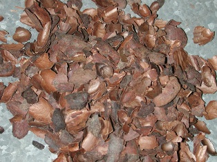 fındık kabuğu